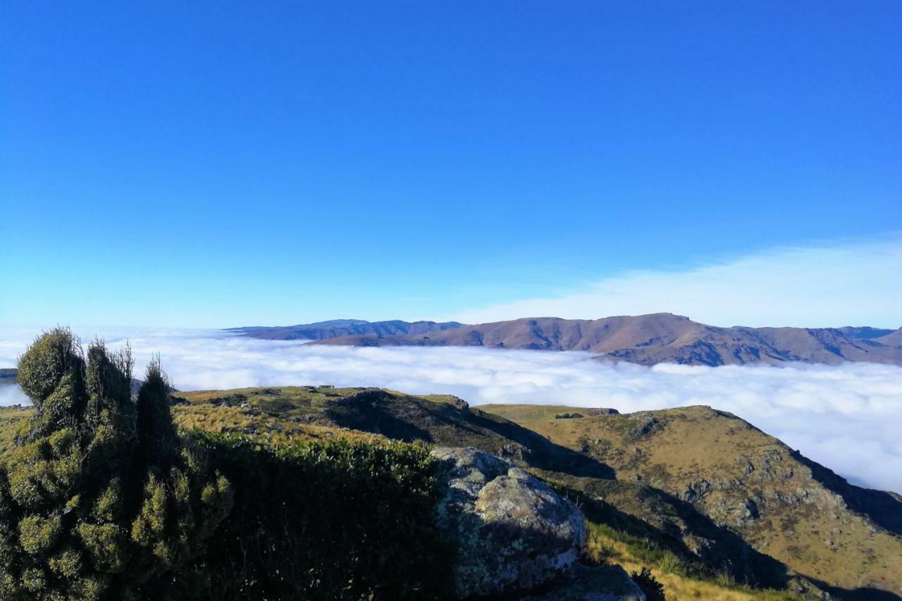Sea Views In Luxury At Lyttelton Boatique House - 14 Km From Christchurch Esterno foto